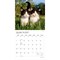 Plato; Kitten Cuddles | 2027 12 x 24 Inch (Hanging) Monthly Square Wall Calendar | Foil Stamped Cover; Category:Wall Calendars; Image:4